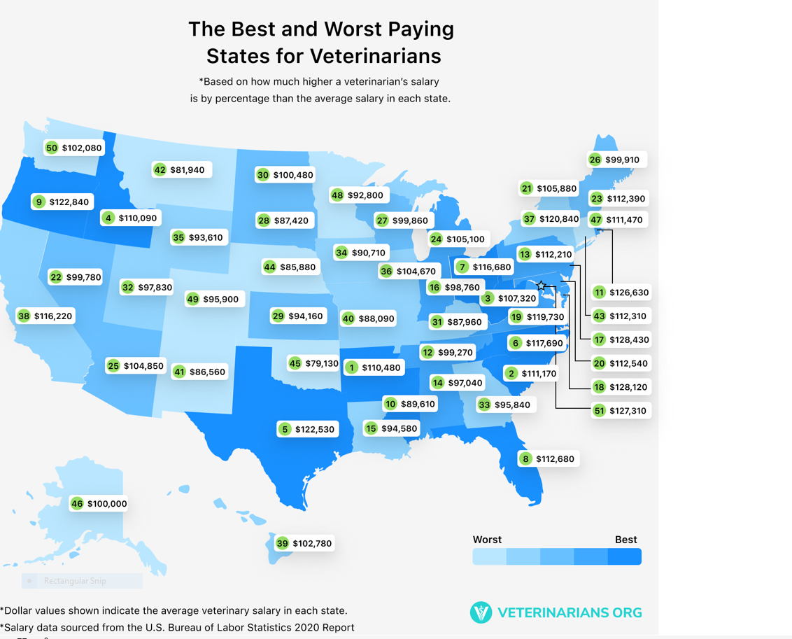 How Does Your TakeHome Pay Stack Up? Bovine Veterinarian